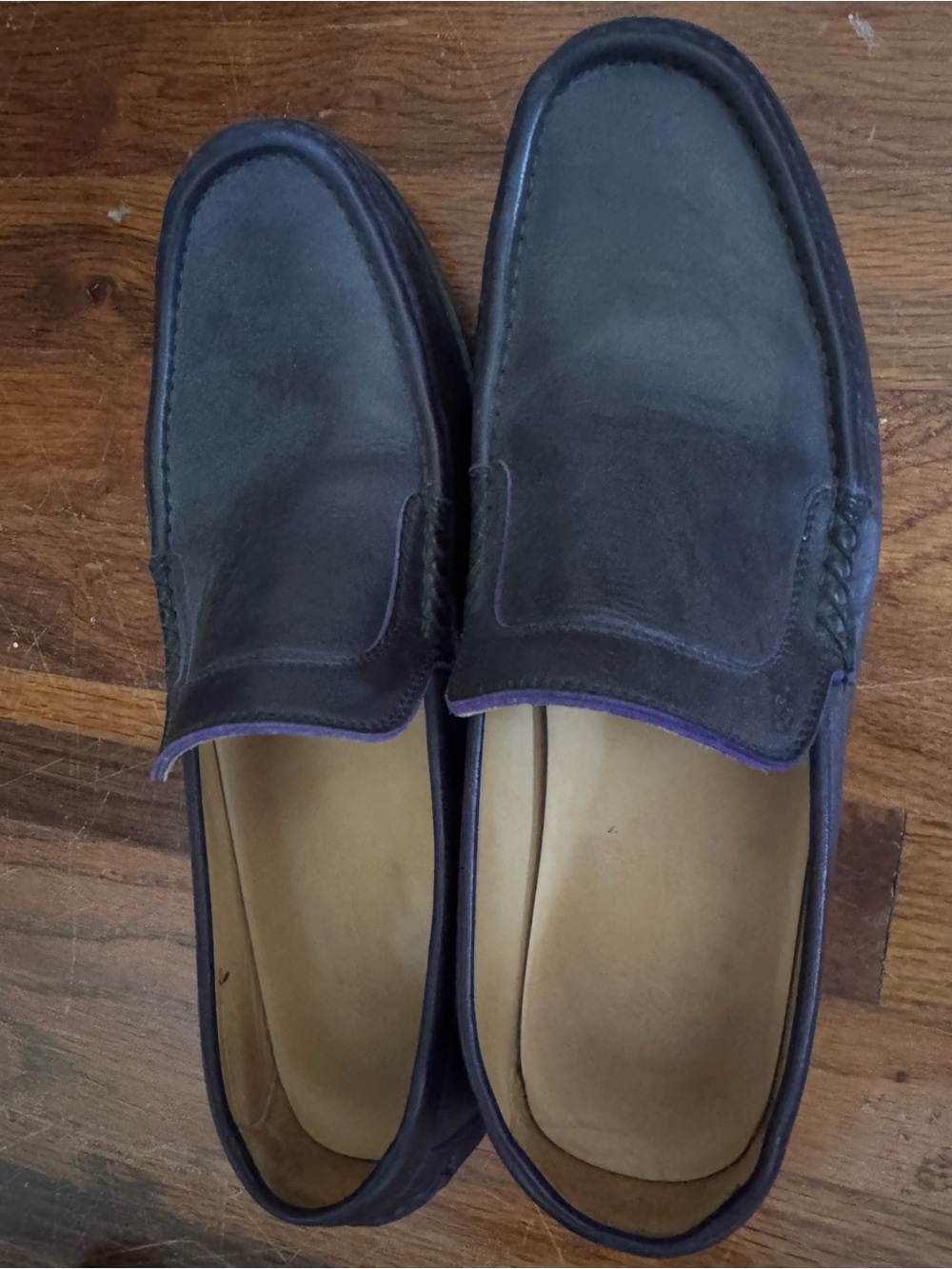 Harry's of London Charcoal Suede Slip-On Loafers with Purple Trim